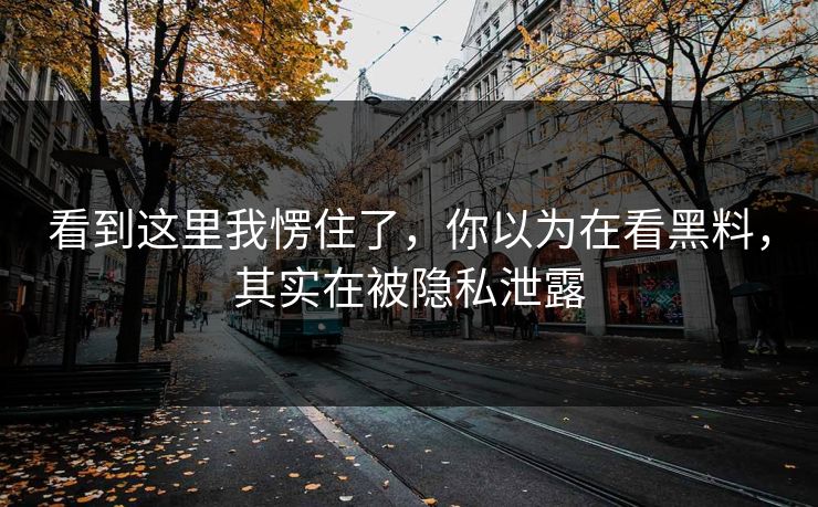 看到这里我愣住了，你以为在看黑料，其实在被隐私泄露