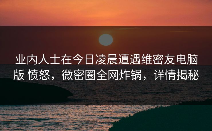 业内人士在今日凌晨遭遇维密友电脑版 愤怒，微密圈全网炸锅，详情揭秘