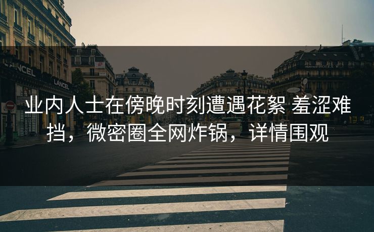 业内人士在傍晚时刻遭遇花絮 羞涩难挡，微密圈全网炸锅，详情围观