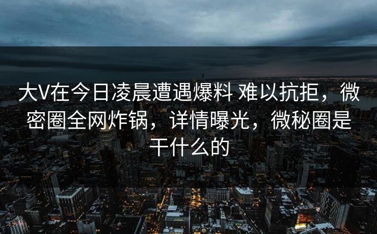 大V在今日凌晨遭遇爆料 难以抗拒，微密圈全网炸锅，详情曝光，微秘圈是干什么的