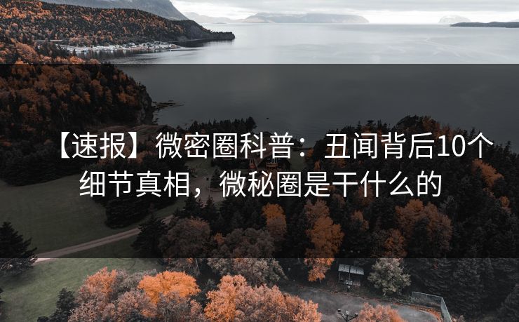 【速报】微密圈科普：丑闻背后10个细节真相，微秘圈是干什么的